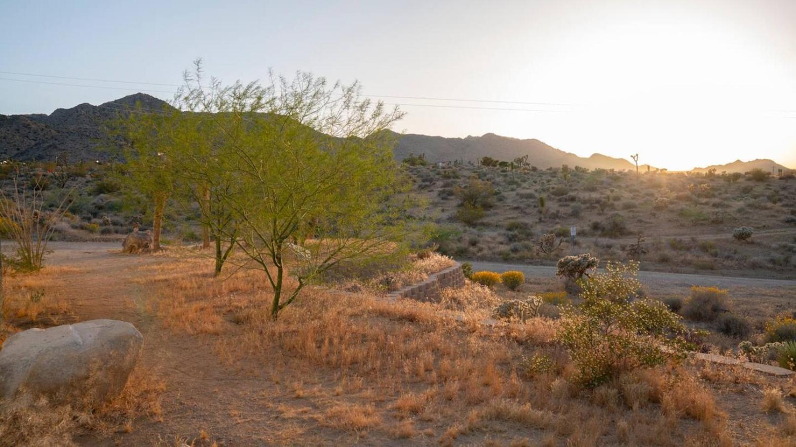 Experience Desert Serenity Gateway To Joshua Tree โจชัวทรี ภายนอก รูปภาพ